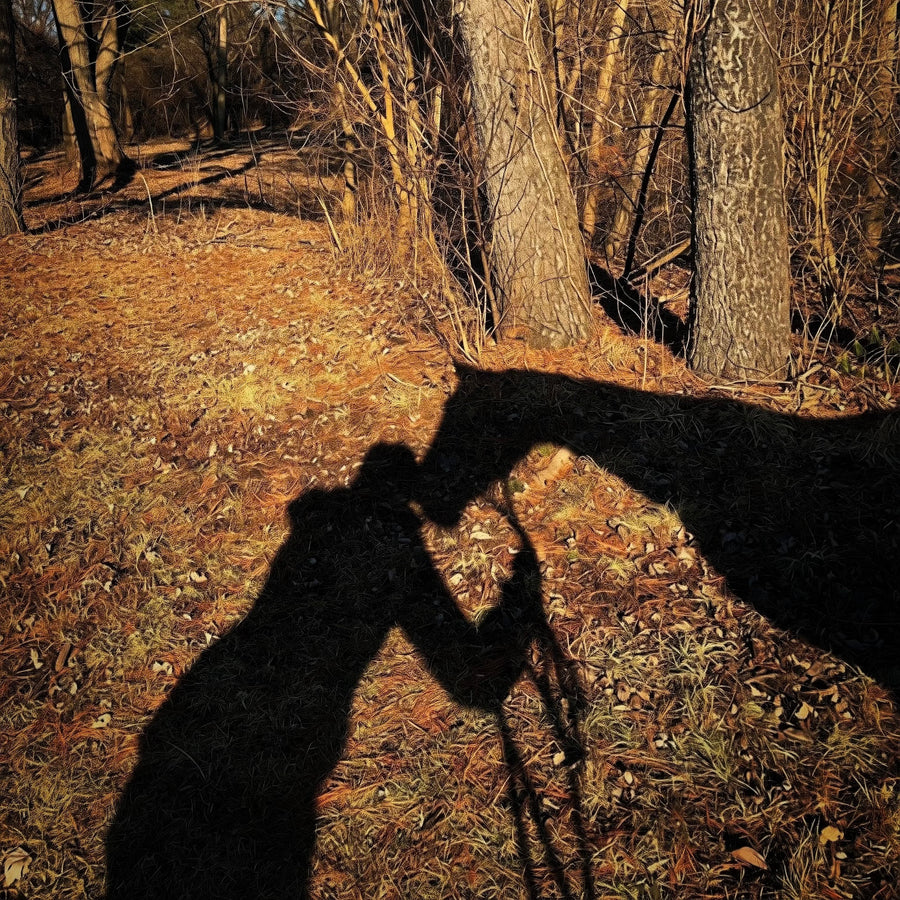 Horse and rider shadows touching at sunset, symbolizing the emotional connection and commitment that come with loving horses.